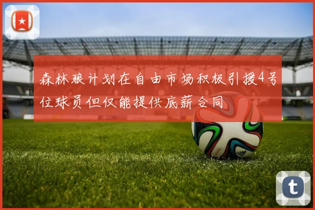 森林狼计划在自由市场积极引援4号位球员但仅能提供底薪合同
