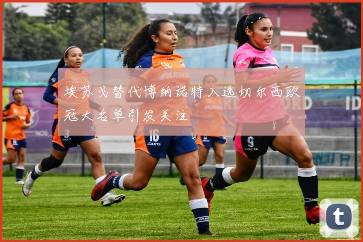 埃苏戈替代博纳诺特入选切尔西欧冠大名单引发关注